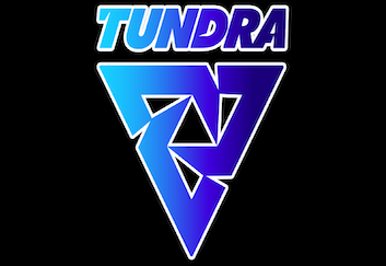 Dota 2: Saksa переведен в запас Tundra Esports