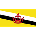 Brunei U17