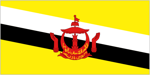 Brunei U20