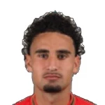 Мерт Ахмет Эркан