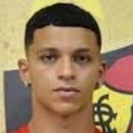 Рикельми Мендес Араужу