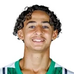 Ваэль Мохиа