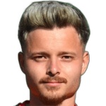 Мариан Ливиу Драгичану