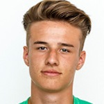 Деннис Вервустер