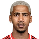 Д. ван Руйен