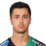 Владимир Брадоньич