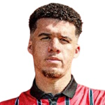 Стивен Рис Браун