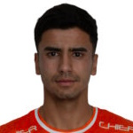 Николас Андрес Пальма Пардо