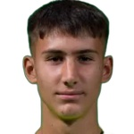 Вук Драшкич