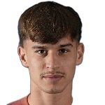 Богдан Мирчетич