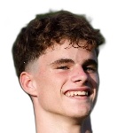 Генри Мерсон Леонард Грей