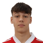 Владан Чарапич