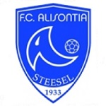 Alisontia Steinsel