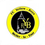 Yellow Boys Weiler