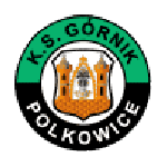 Gornik Polkowice