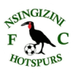 Nsingizini Hotspurs (Esw)