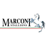 Marconi Stallions FC