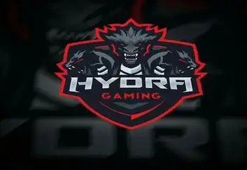 HYDRA - победители 17 сезона D2CL