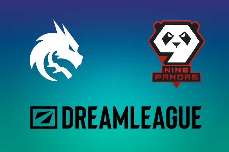 Dota 2: Team Spirit и 9Pandas отобрались на DreamLeague S25