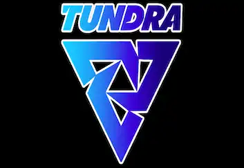 Dota 2: Tundra Esports выступит на DreamLeague Season 20 с заменами