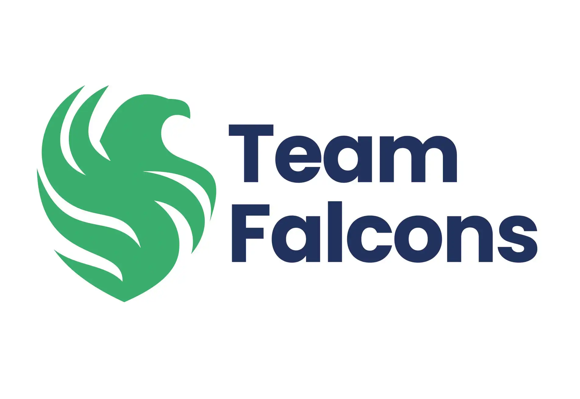CS2: Team Falcons укомплектовала состав