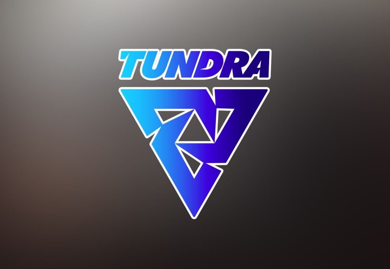 Dota 2: Бывшие игроки TSM играют под тэгом Tundra
