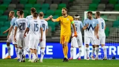 Прогноз на матч отбора к ЕВРО-2024 Словения – Дания
