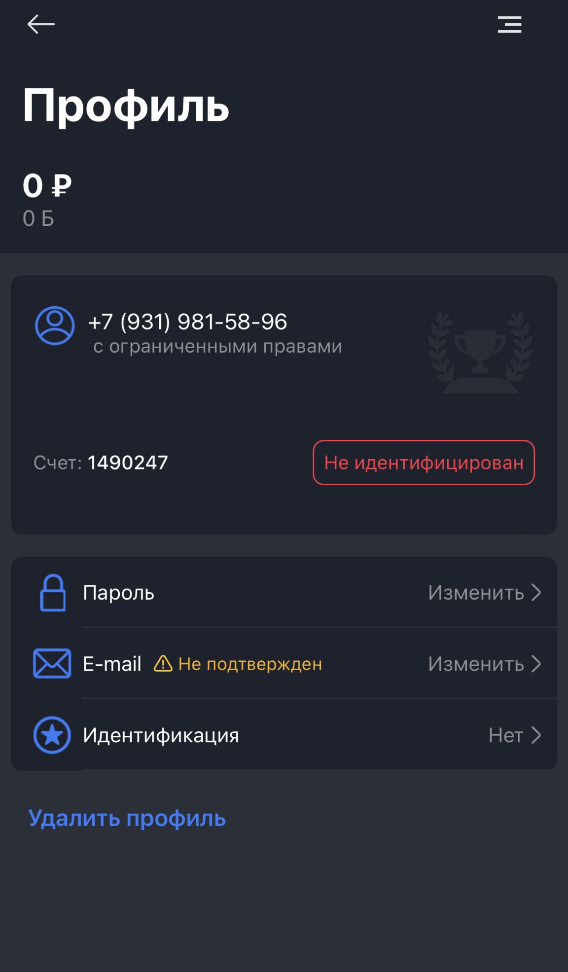 Профиль в мобильном приложении БалтБет на айфон