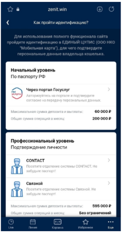 Идентификация Zenit как проходит, особенности