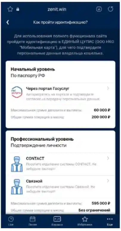 Идентификация Zenit как проходит, особенности