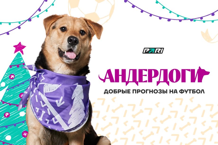 PARI выпускает Андердогов. Собаки — подопечные фонда РЭЙ дадут прогнозы на футбольные матчи