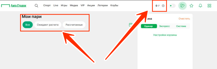 Личный кабинет Лига ставок